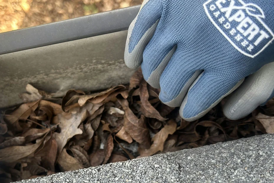 Gutter Cleaning Mint Hill