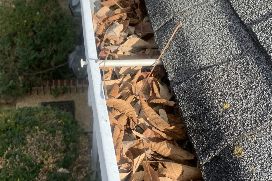 Gutter Cleaning Mint Hill